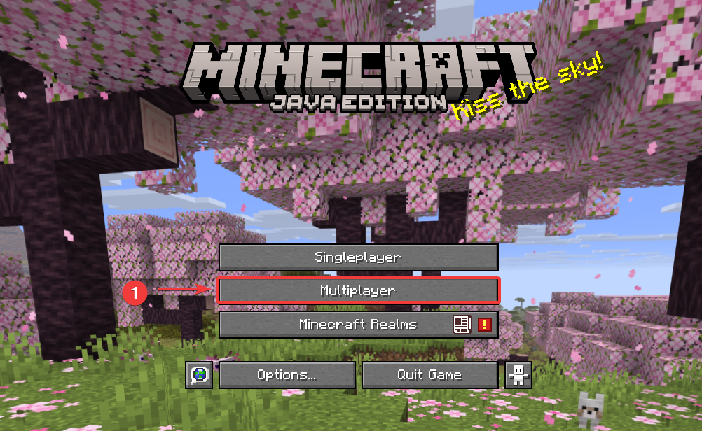 Step 1 — Open Multiplayer