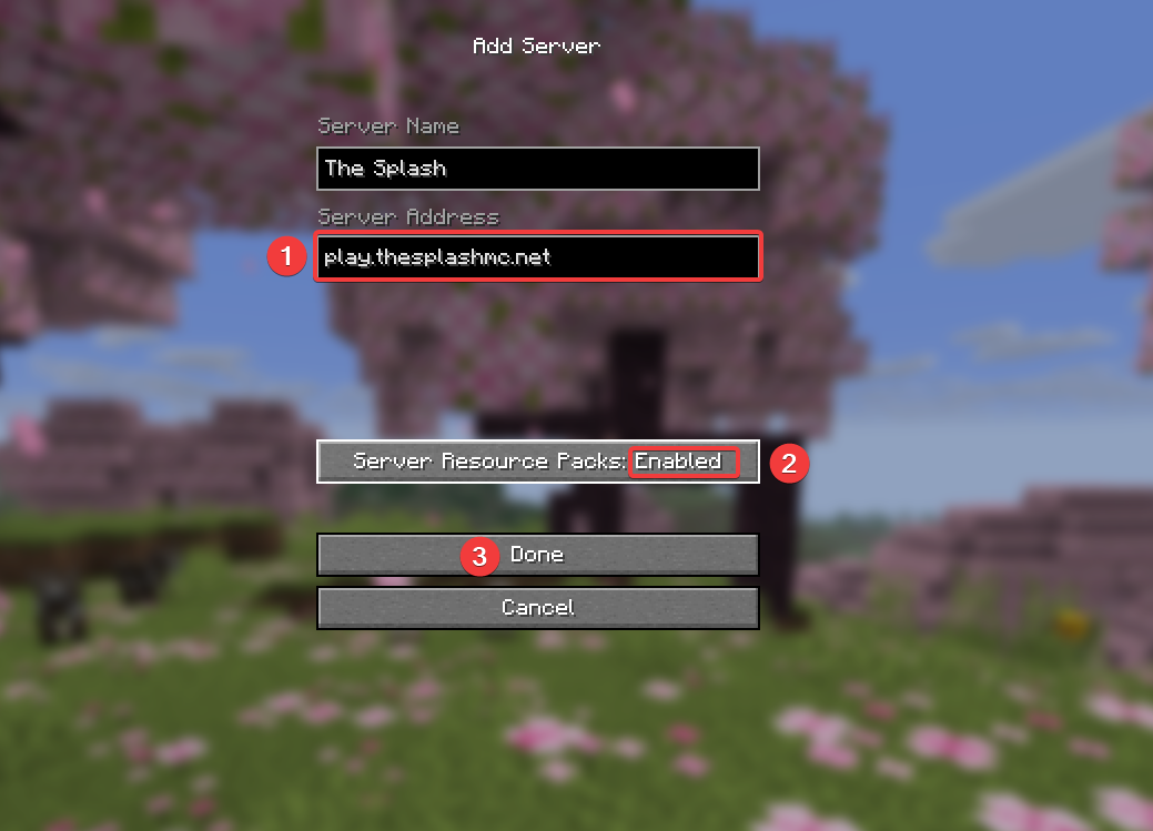Step 3 — Enter Server Address